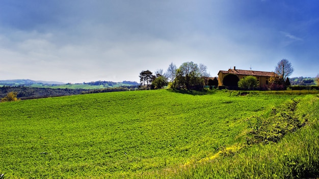 Vista panorámica de un campo agrícola contra el cielo