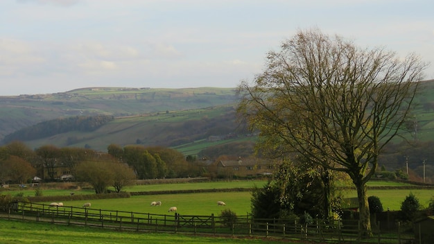 Foto vista panorámica de un campo agrícola contra el cielo