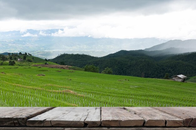 Foto vista panorámica de un campo agrícola contra el cielo.