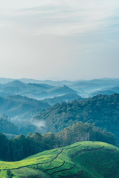 Foto vista panorámica de un campo agrícola contra el cielo