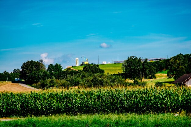 Foto vista panorámica de un campo agrícola frente a un cielo despejado