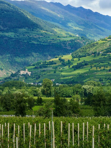 Foto vista panorámica de un campo agrícola