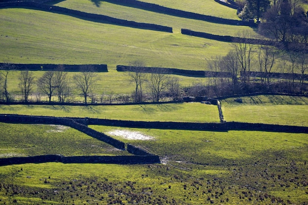 Foto vista panorámica de un campo agrícola