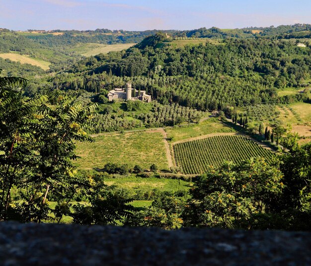 Foto vista panorámica de un campo agrícola