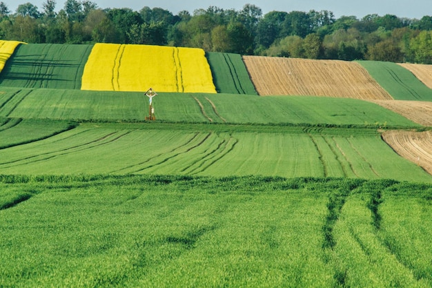 Foto vista panorámica de un campo agrícola