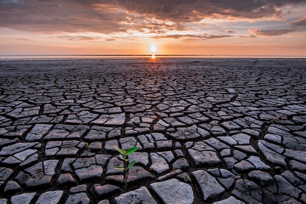 Foto vista panorámica de un campo agrietado contra el cielo durante la puesta de sol