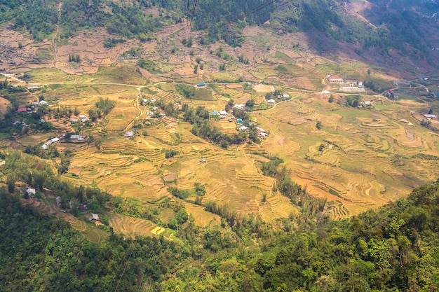 Vista panorámica del campo de arroz en terrazas en Sapa, Lao Cai, Vietnam
