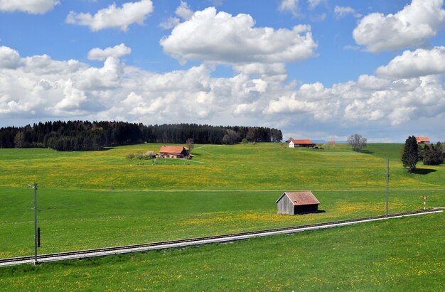 Vista panorámica del campo de colinas verdes frescas en primavera