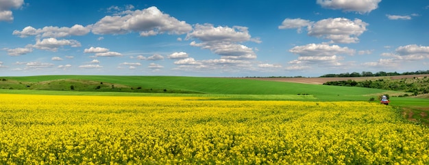 Vista panorámica del campo de colza en primavera y cielo pintoresco con nubes blancas