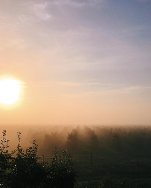 Foto vista panorámica del campo contra el cielo al atardecer