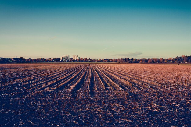 Foto vista panorámica del campo contra el cielo al atardecer