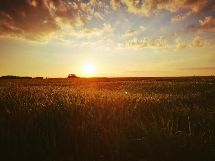 Foto vista panorámica del campo contra el cielo al atardecer