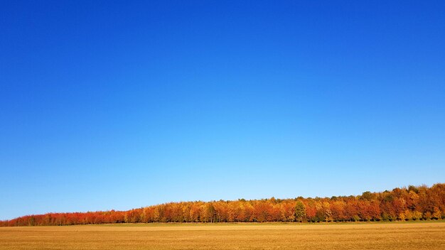 Foto vista panorámica del campo contra el cielo azul claro