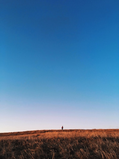 Foto vista panorámica del campo contra el cielo azul claro