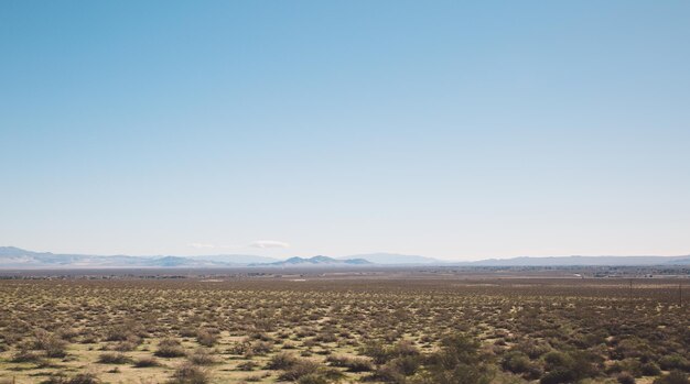 Foto vista panorámica del campo contra el cielo azul claro