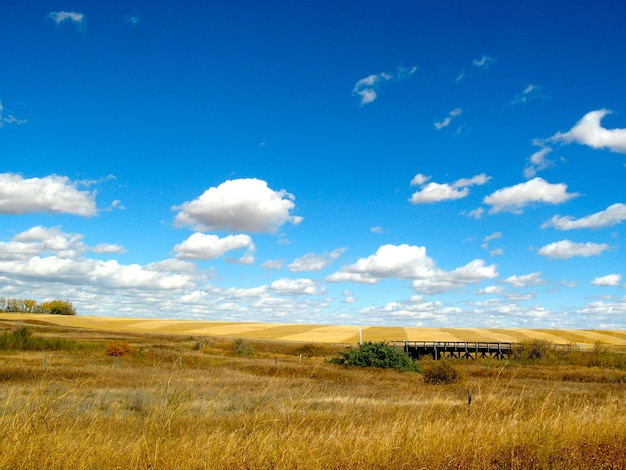 Vista panorámica del campo contra el cielo azul