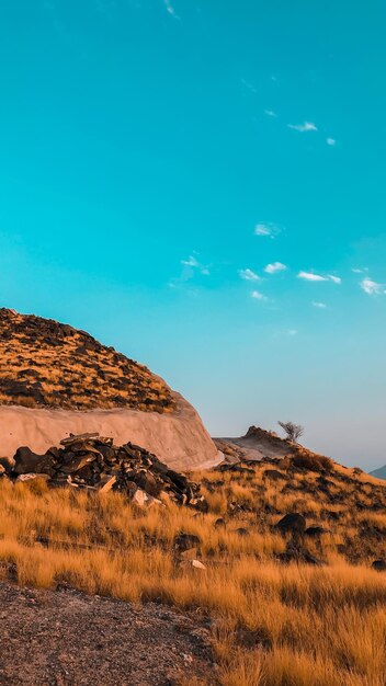 Foto vista panorámica del campo contra el cielo azul