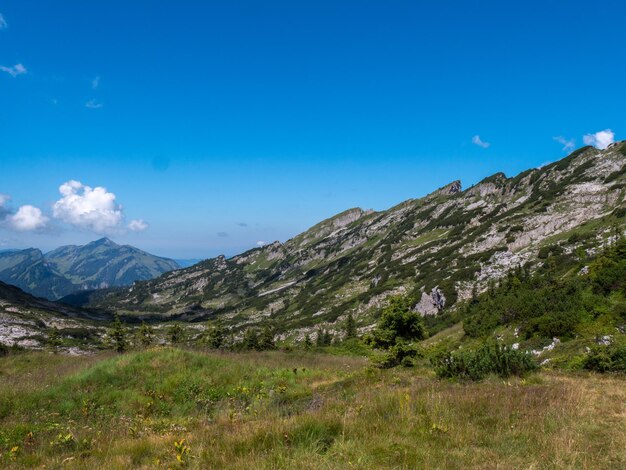 Foto vista panorámica del campo contra el cielo azul