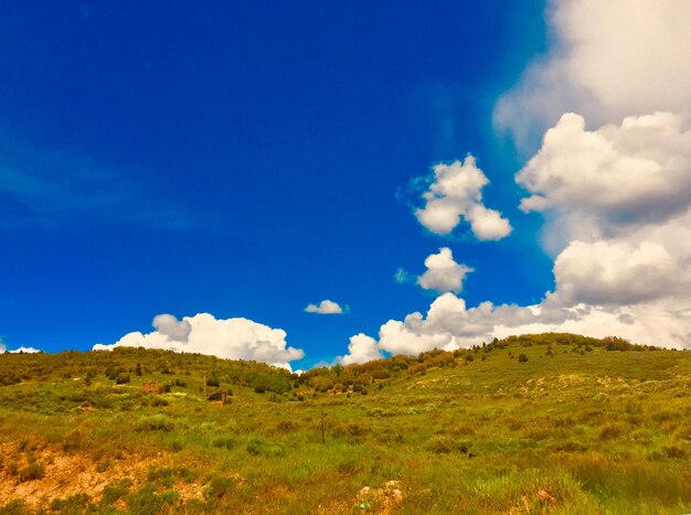 Foto vista panorámica del campo contra el cielo azul