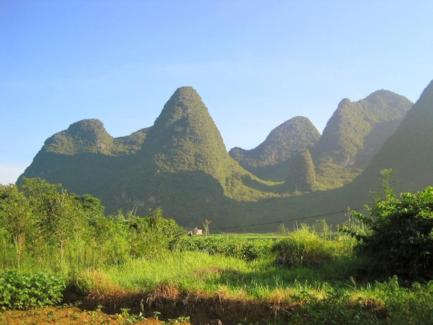 Foto vista panorámica del campo contra el cielo despejado