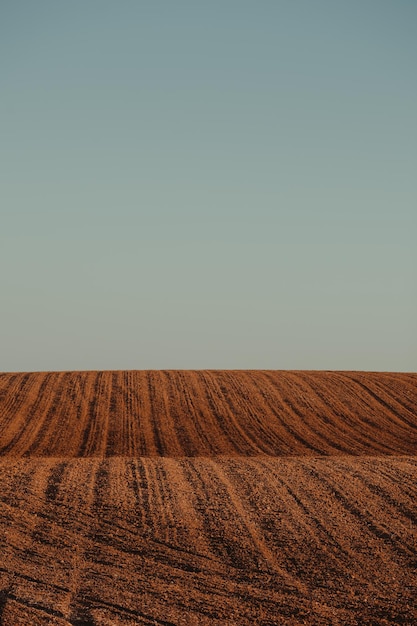 Foto vista panorámica del campo contra el cielo despejado