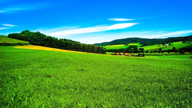 Vista panorámica del campo contra el cielo despejado