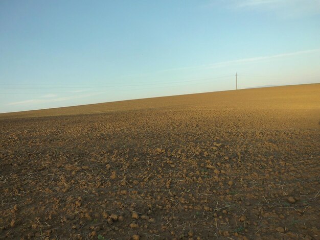 Vista panorámica del campo contra el cielo despejado