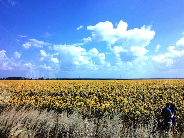 Foto vista panorámica del campo contra el cielo nublado