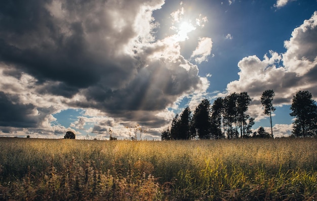 Foto vista panorámica del campo contra el cielo nublado