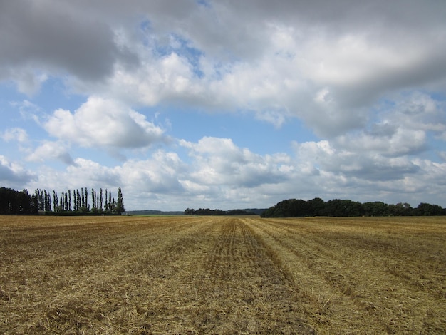 Vista panorámica del campo contra el cielo nublado