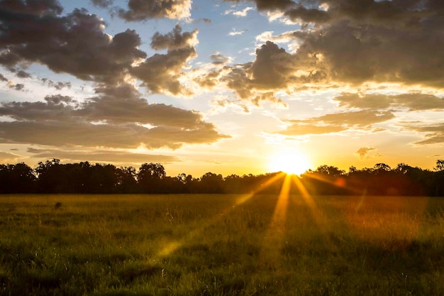 Vista panorámica del campo contra el cielo durante la puesta de sol.