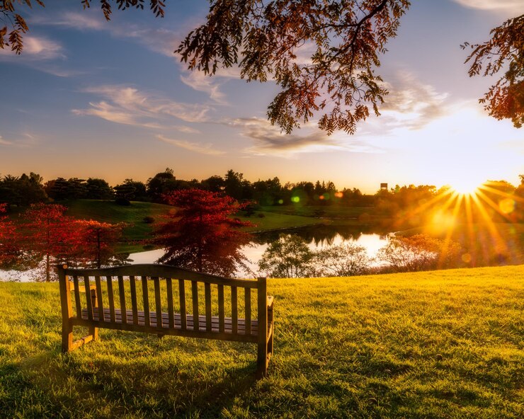 Foto vista panorámica del campo contra el cielo durante la puesta de sol