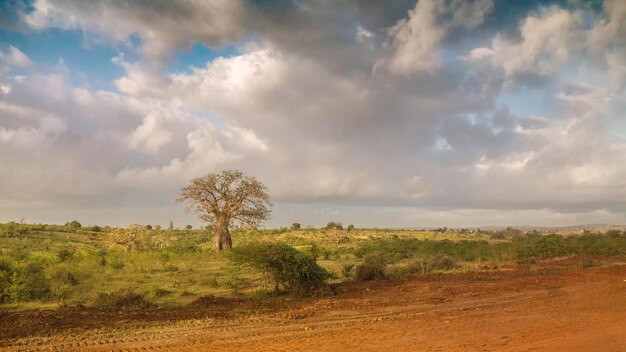 Foto vista panorámica del campo contra el cielo durante la puesta de sol