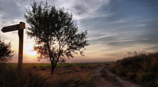 Foto vista panorámica del campo contra el cielo durante la puesta de sol