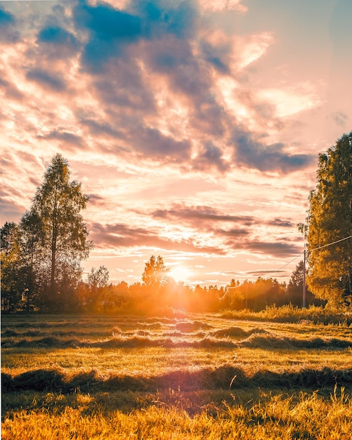 Vista panorámica del campo contra el cielo durante la puesta de sol