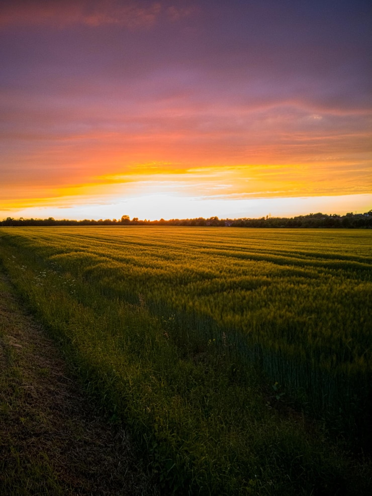 Foto vista panorámica del campo contra el cielo durante la puesta de sol