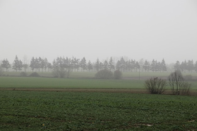 Vista panorámica del campo contra el cielo durante el tiempo de niebla