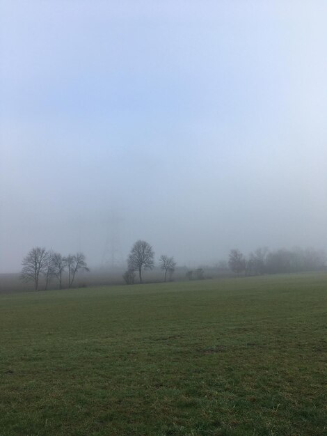 Vista panorámica del campo contra el cielo durante el tiempo de niebla