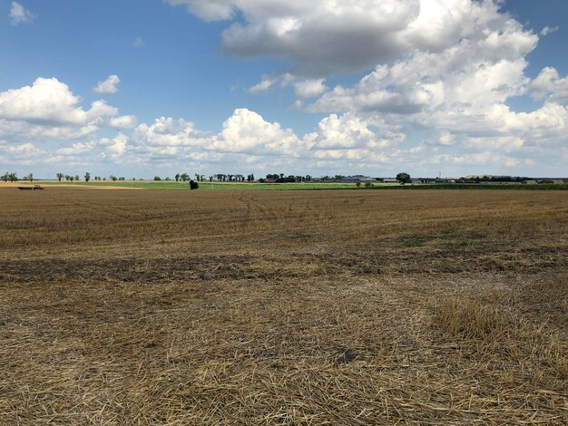 Foto vista panorámica del campo contra el cielo