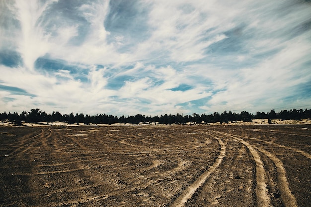 Vista panorámica del campo contra el cielo