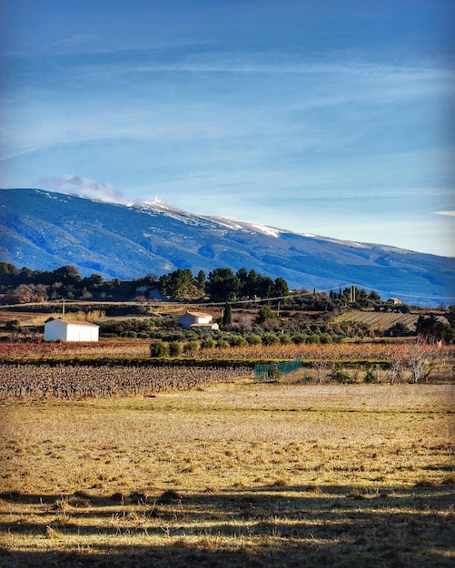 Foto vista panorámica del campo contra el cielo