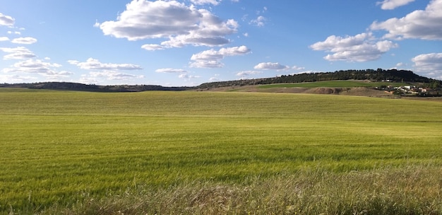 Foto vista panorámica del campo contra el cielo