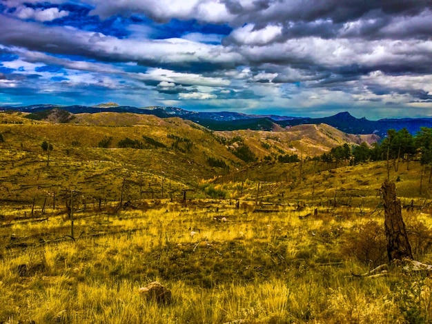 Foto vista panorámica del campo contra el cielo