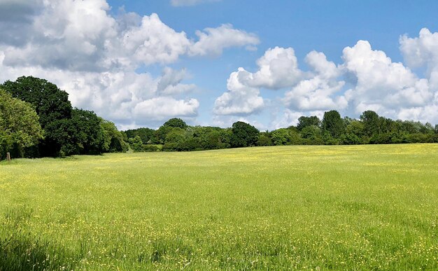 Foto vista panorámica del campo contra el cielo