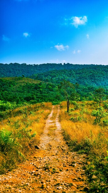 Foto vista panorámica del campo contra el cielo