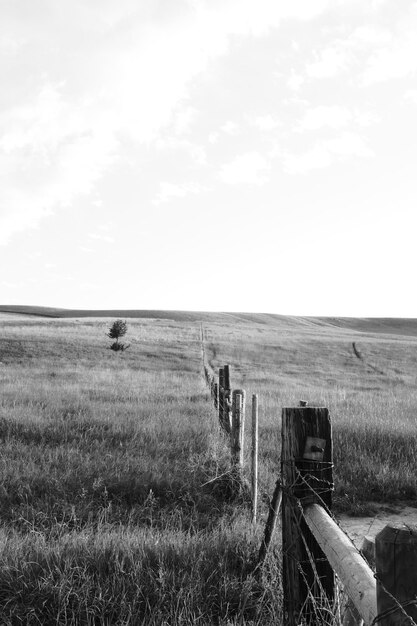 Foto vista panorámica del campo contra el cielo