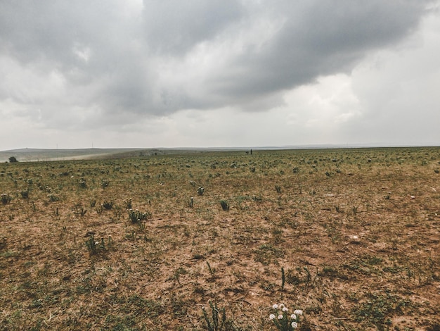 Foto vista panorámica del campo contra el cielo