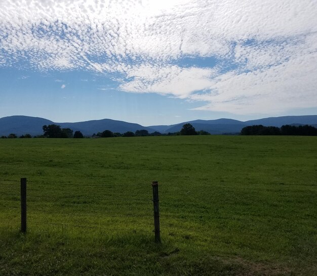 Vista panorámica del campo contra el cielo