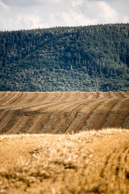 Foto vista panorámica del campo contra el cielo