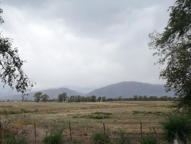 Vista panorámica del campo contra el cielo